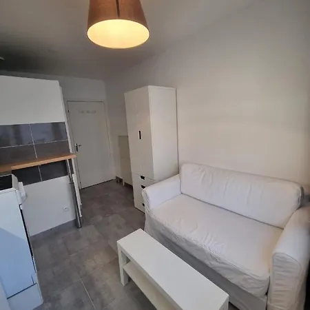 Joli Petit Studio Angevin *